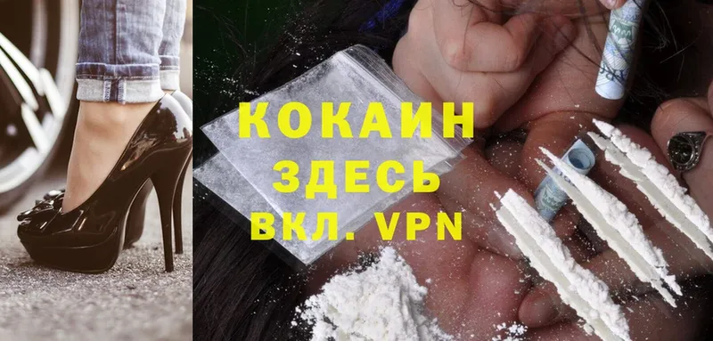 купить закладку  Ряжск  Cocaine FishScale 