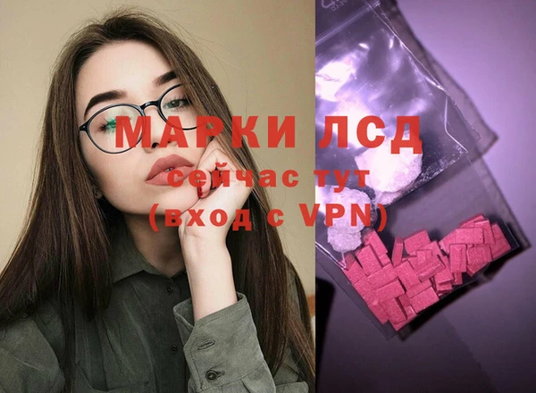 ГАЛЛЮЦИНОГЕННЫЕ ГРИБЫ Магас