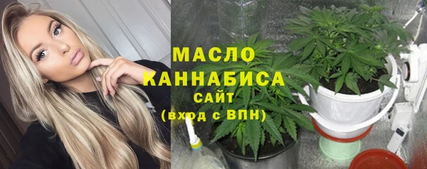 мдпв Елабуга
