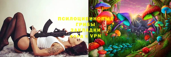 ГАЛЛЮЦИНОГЕННЫЕ ГРИБЫ Магас